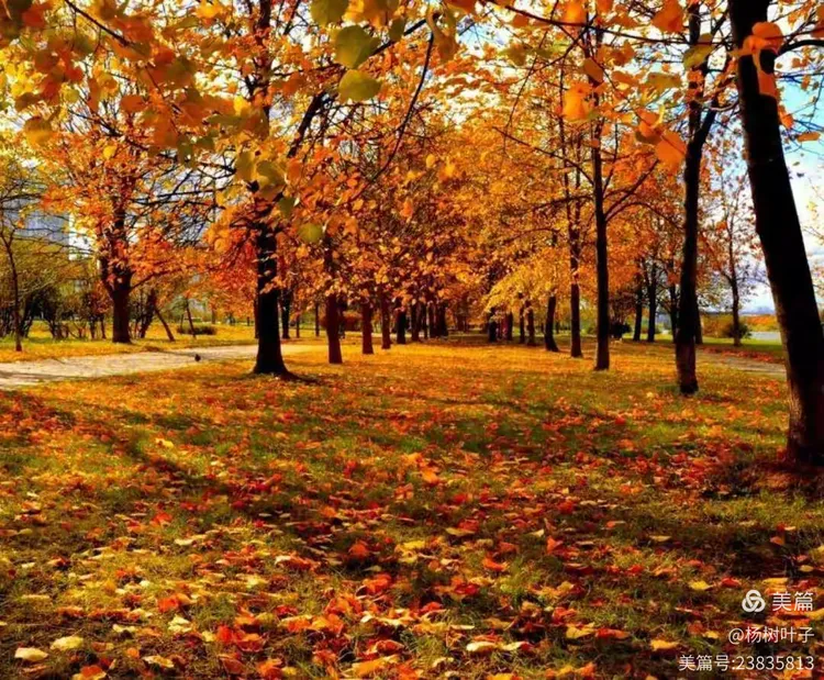 寻找秋天的足迹
